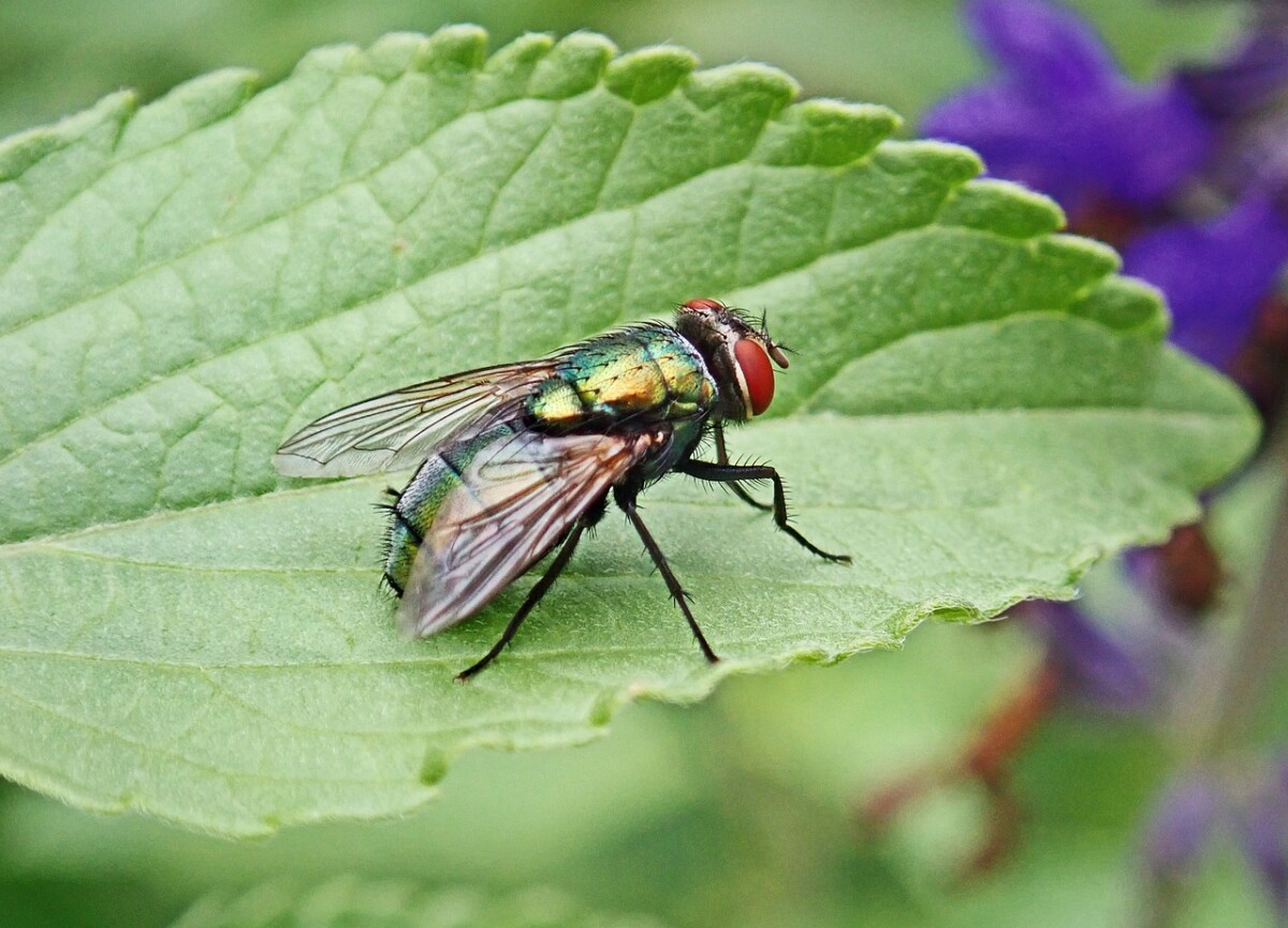 섹션 5 이미지