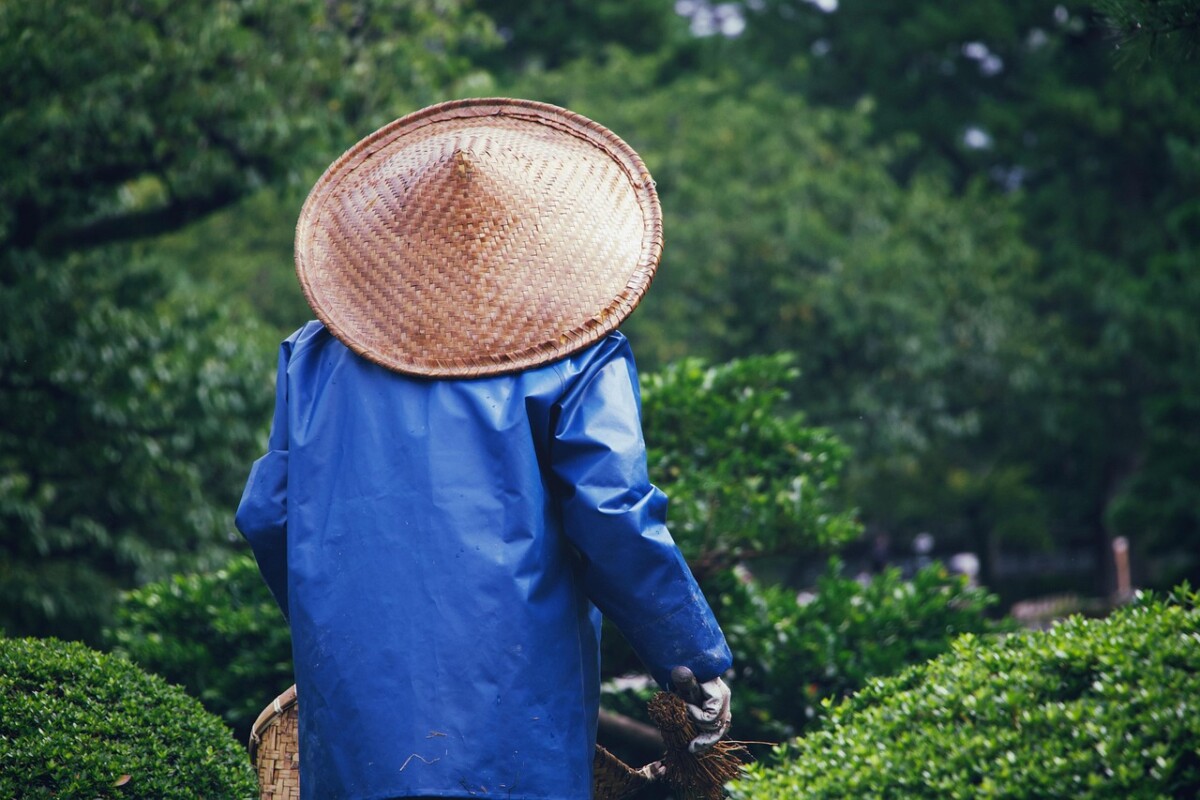 섹션 5 이미지