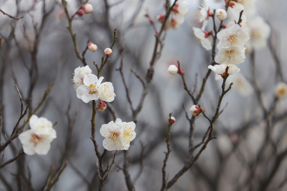 섹션 2 이미지